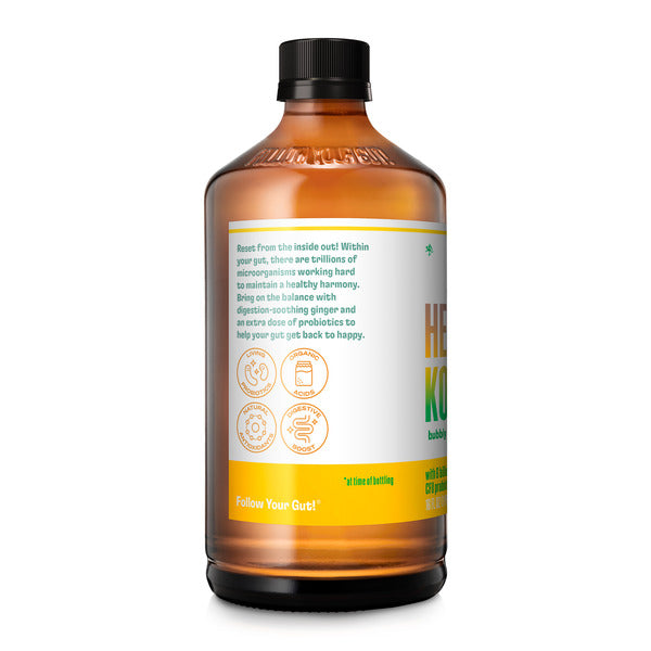 Health-Ade Ginger Pineapple Belly Reset 16 fl oz