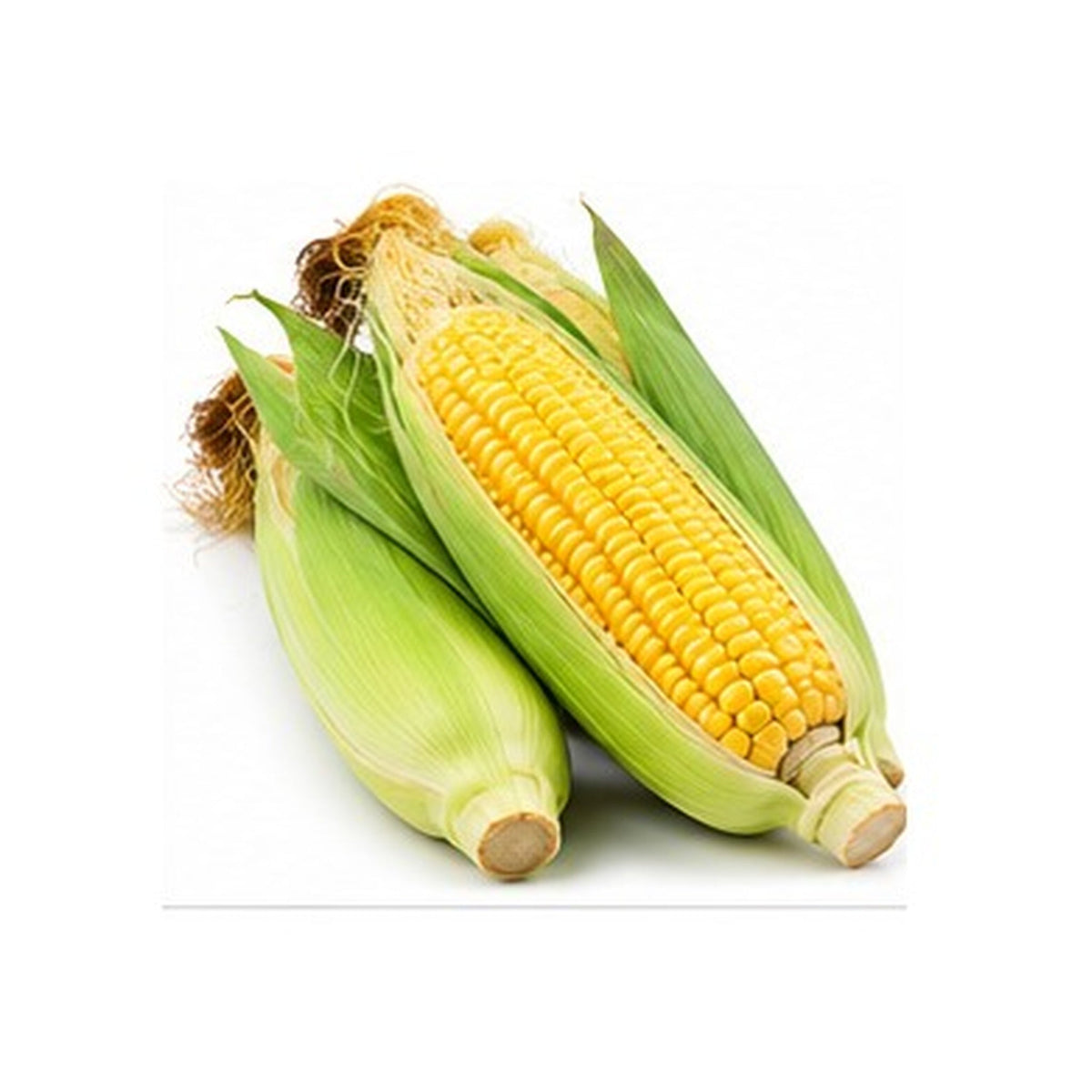 Illustrative image of Corn on white background