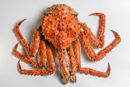 King Crab