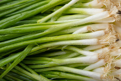 Green Onions, Scallions, Spring onions