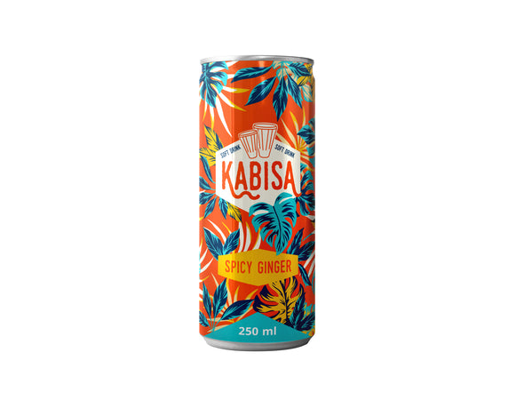 Spicy Ginger Beverage