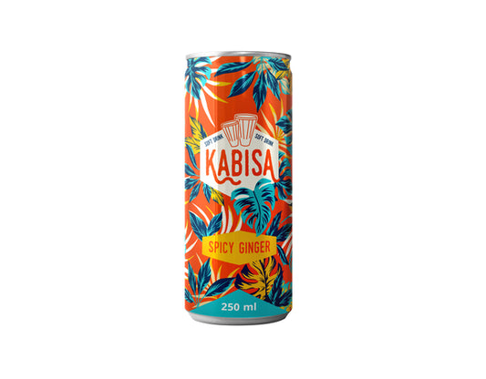 Spicy Ginger Beverage