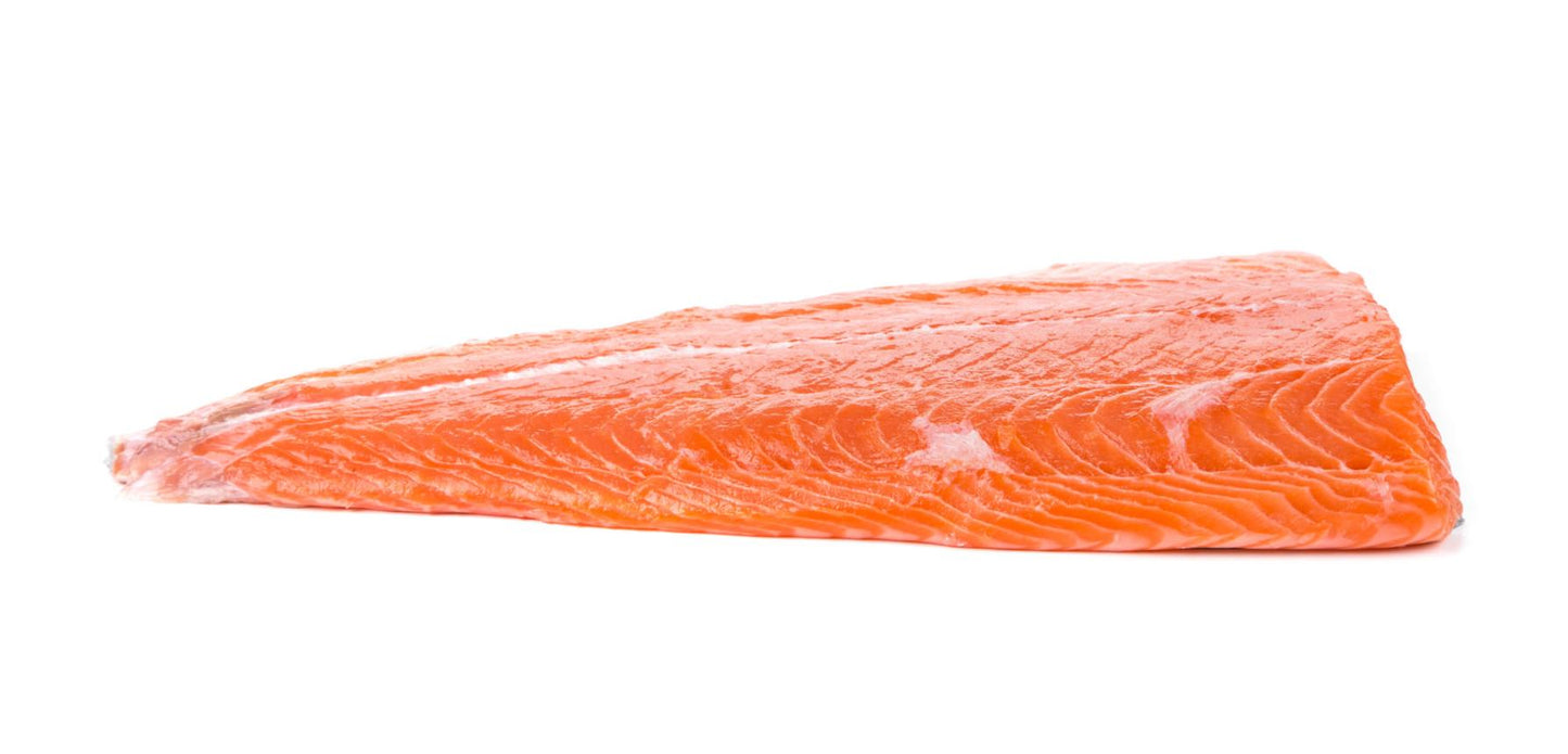 Salmon