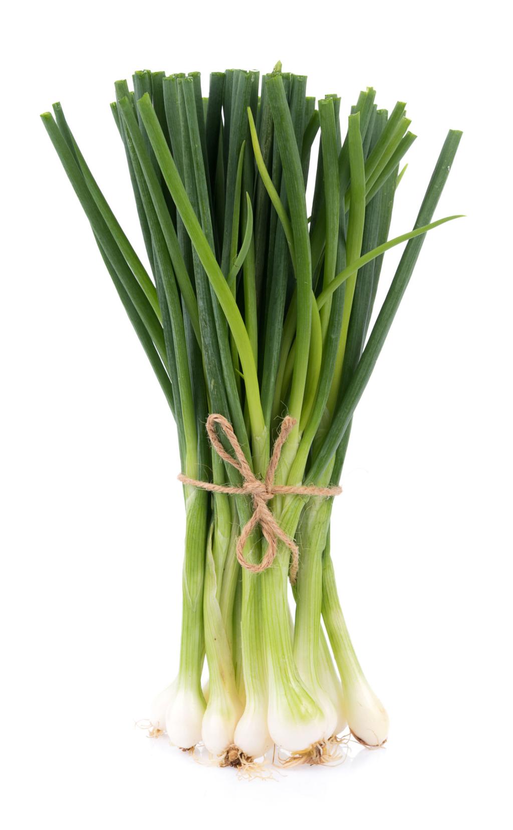 Green Onions, Scallions, Spring onions