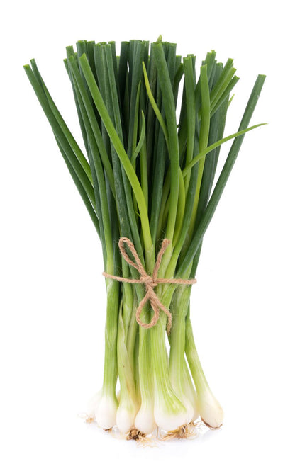 Green Onions, Scallions, Spring onions