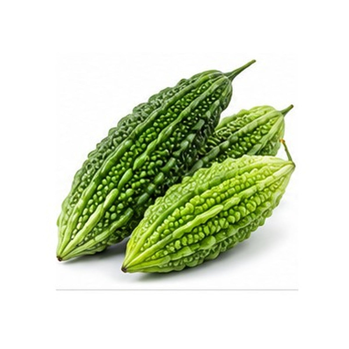 Illustrative image of Bitter Melon (Caraille) on white background