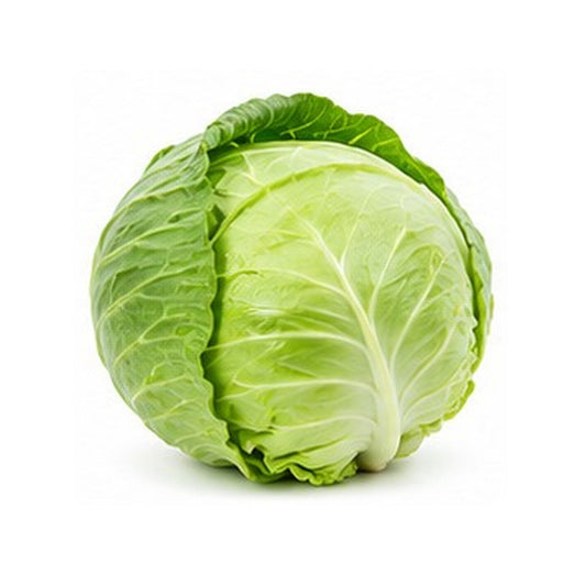 Illustrative image of Cabbage on white background