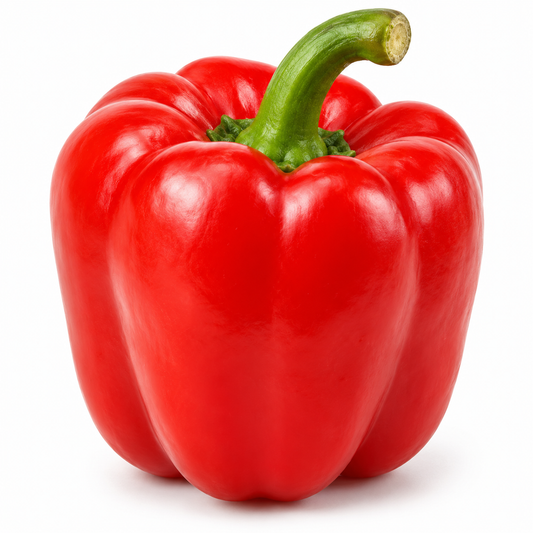 Representative Bell Pepper on white background