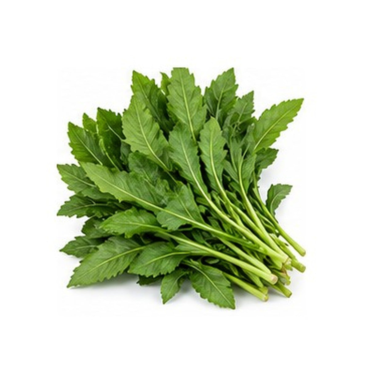 Illustrative image of Married Man Pork Herb on white background