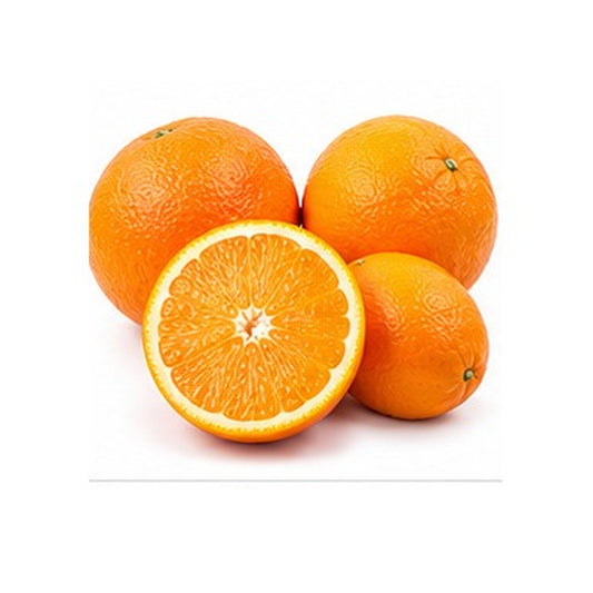Illustrative image of Oranges on white background
