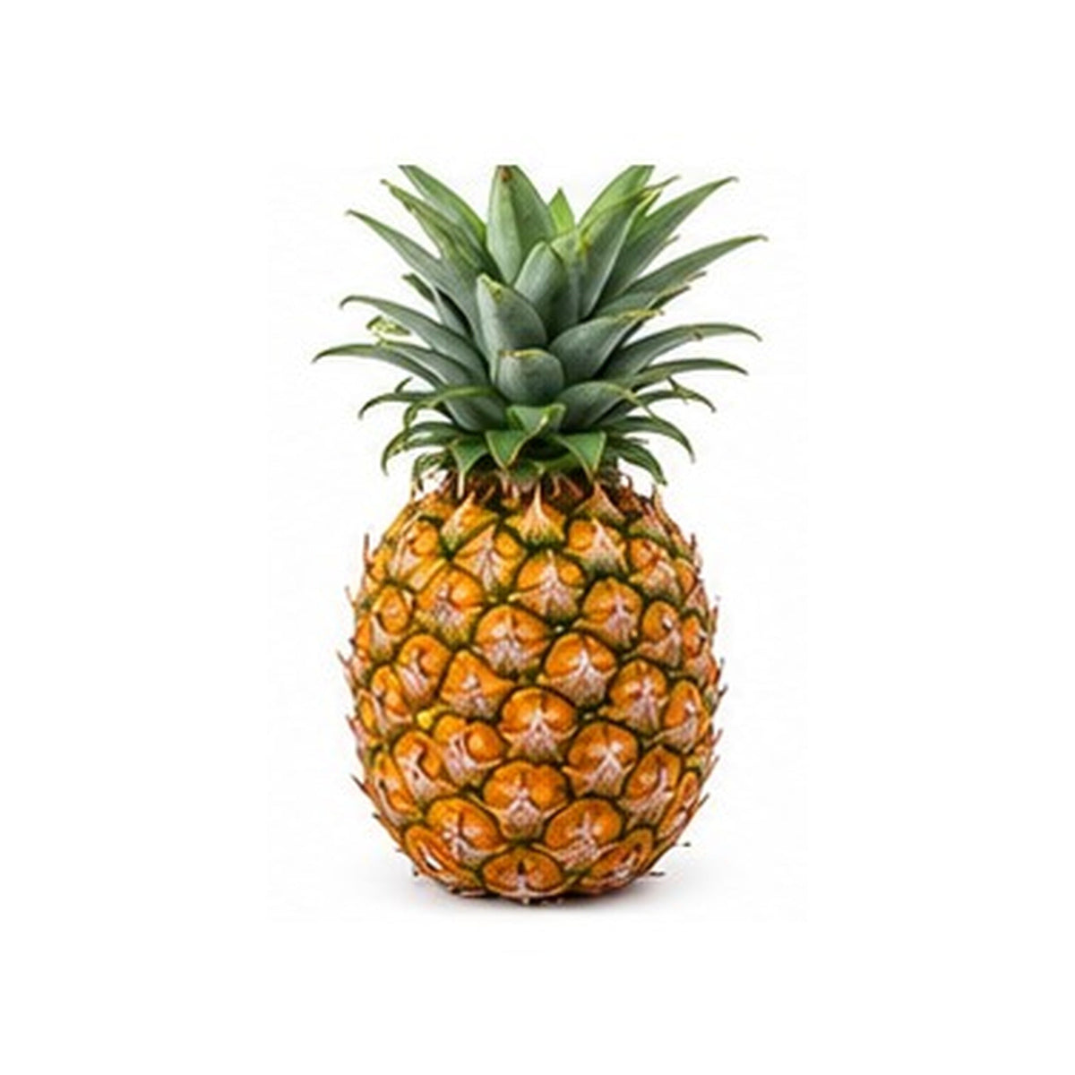 Illustrative image of Pineapple on white background