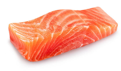 Salmon