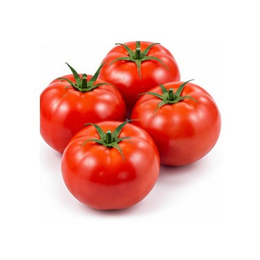Illustrative image of Tomatoes on white background