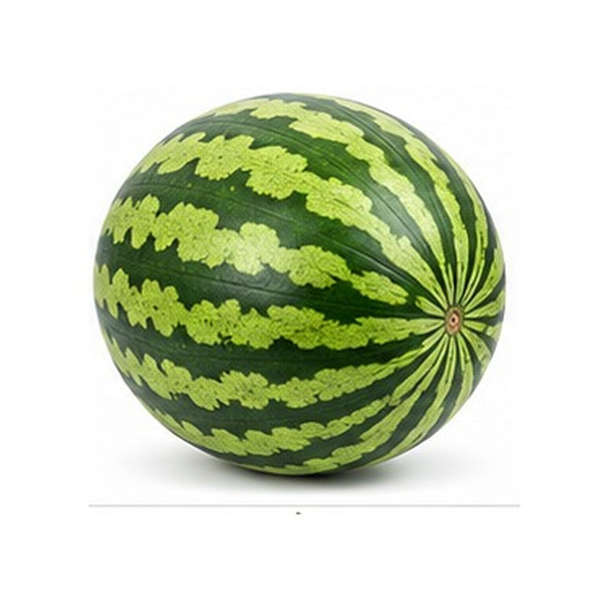 Illustrative image of Watermelon on white background